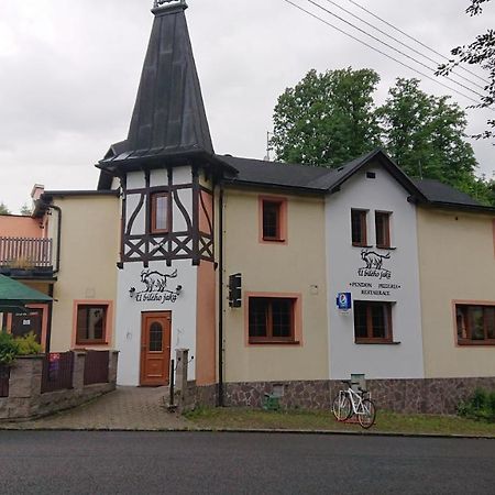 Penzion U bílého jaka Vilemov  Exterior foto